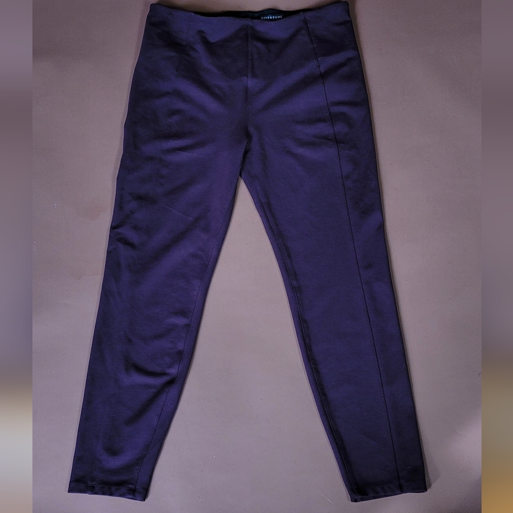 Liverpool Jeans Company Women's Dark Jeggings